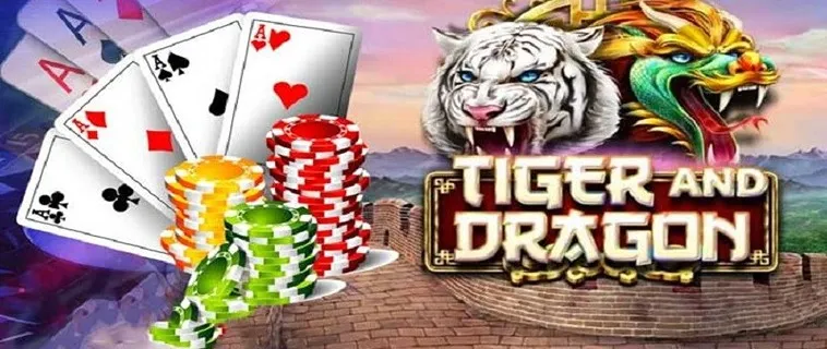 Bí Quyết Thắng Lớn Dragon Tiger Tại DAGA Dành Cho Người Mới Chơi