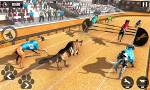 Cách Chơi Game Nhanh Đua Chó Tại DAGA Đỉnh Cao Thắng Lớn Dễ Dàng
