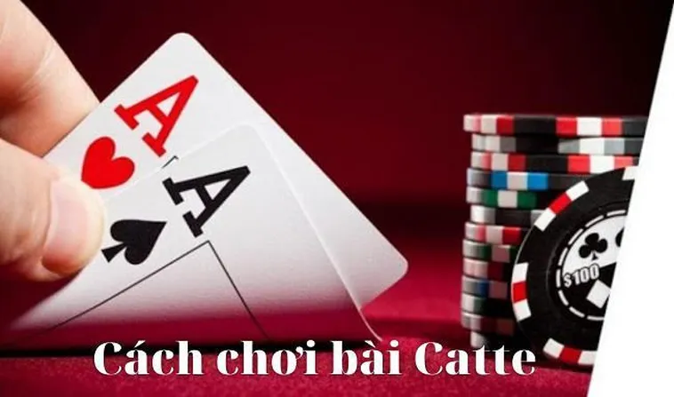 Bí Kíp Chơi Sắc Tê Nhà Cái DAGA Để Thắng Lớn Trong Từng Ván